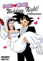 Dragon Ball- Wedding Night- cover