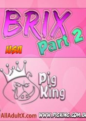 Pigking- Brix Usa Part 2- cover